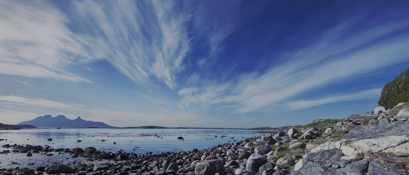 bluesea - Norwegischer Lachs