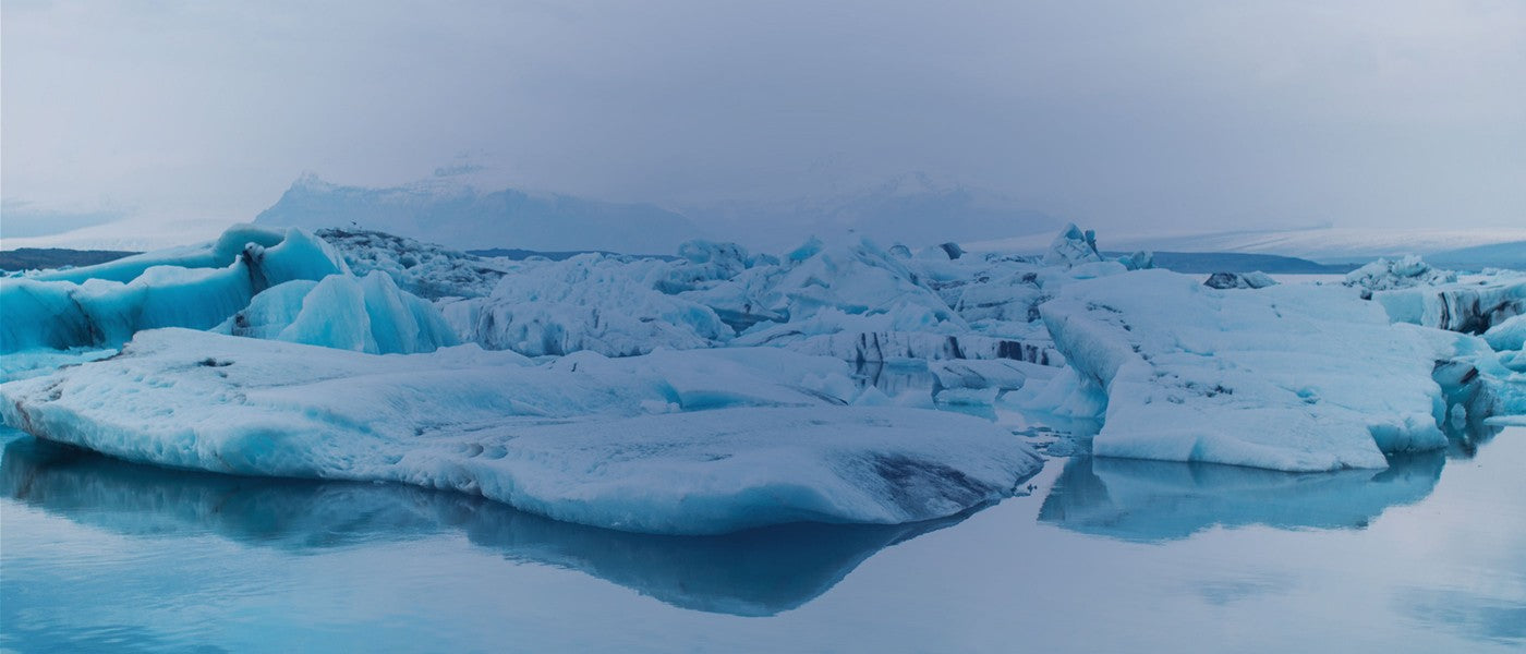 arcticsea - Wildlachs