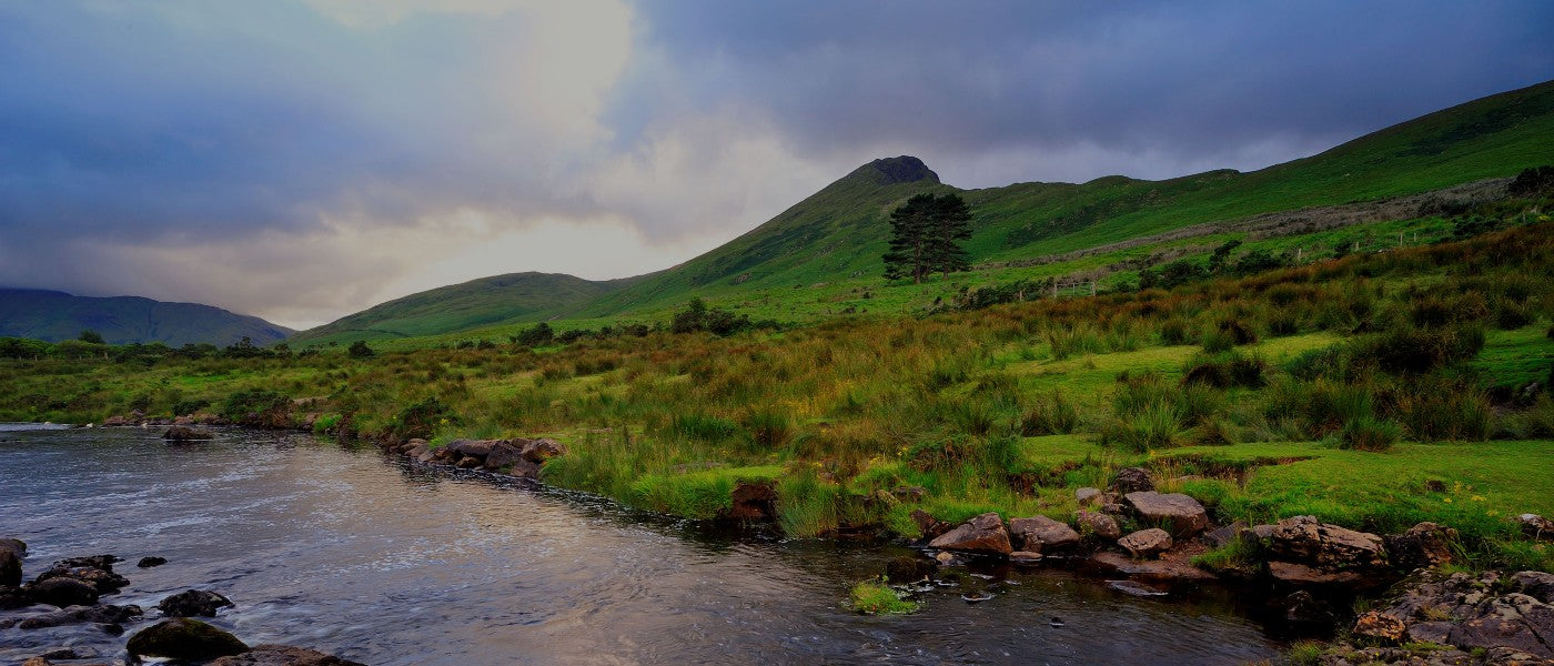 greensea - Irischer Bio-Lachs